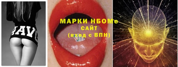 прущие грибы Верхний Тагил