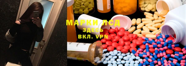 гашик Верея