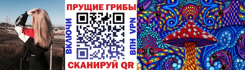 Купить где  Нижняя Тура  Галлюциногенные грибы GOLDEN TEACHER 
